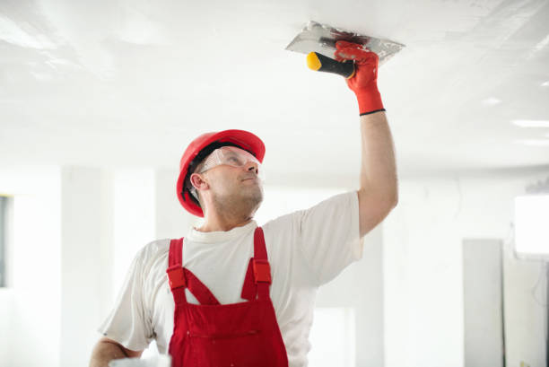 Best Trim and Molding Painting  in Milford, IA