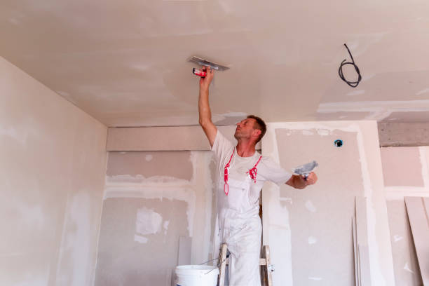 Best Drywall for New Construction  in Milford, IA